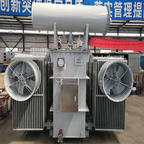 庆阳S20-8000KVA变压器